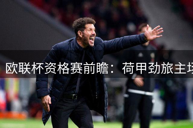 欧联杯资格赛前瞻：荷甲劲旅主场迎战匈甲豪强 伤病隐患或成转折点