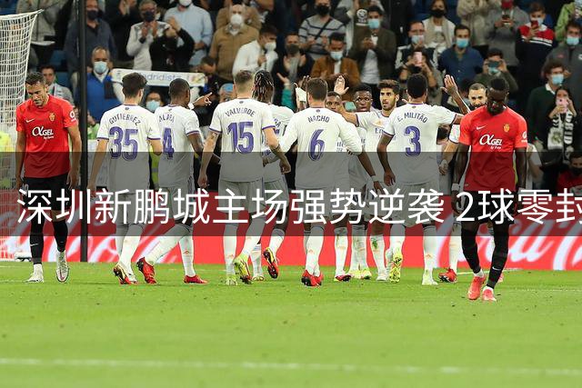 深圳新鹏城主场强势逆袭 2球零封联赛黑马重庆铜梁龙