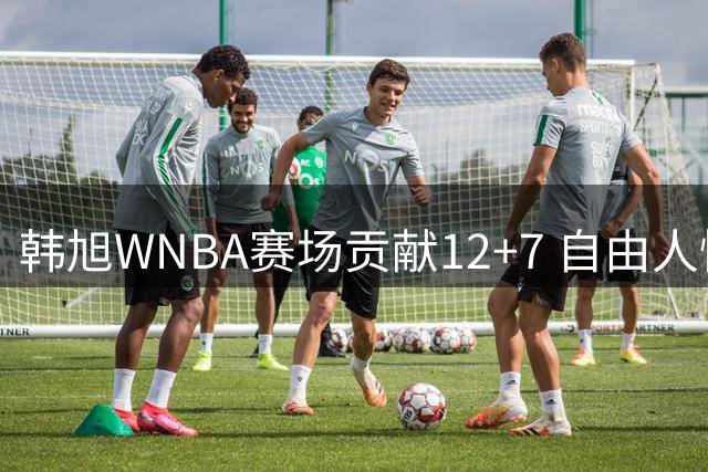 韩旭WNBA赛场贡献12+7 自由人惜败天空遭遇失利