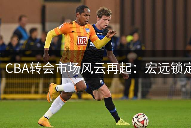 CBA转会市场风云再起：宏远锁定胡金秋，辽篮引入强力外援